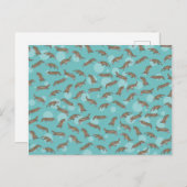 Platypussen zwemmen briefkaart (Voorkant / Achterkant)