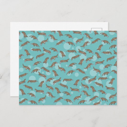 Platypussen zwemmen briefkaart (Voorkant / Achterkant)