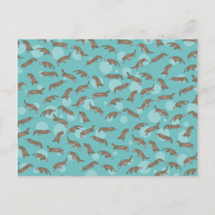 Platypussen zwemmen briefkaart