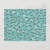 Platypussen zwemmen briefkaart (Voorkant)