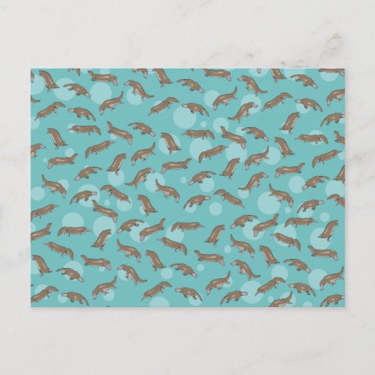 Platypussen zwemmen briefkaart (Voorkant)