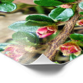 Plavialis Foto Afdruk (Hoek)