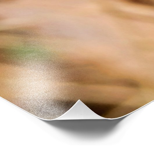 Plavialis Foto Afdruk (Hoek)