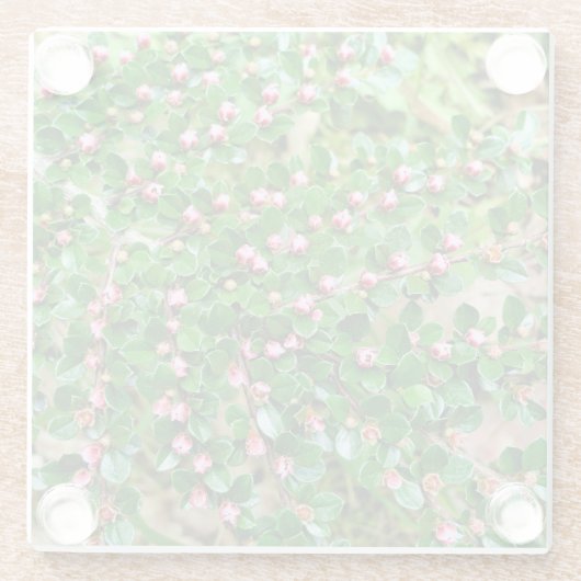 Plavialis Glazen Onderzetter (Achterkant)