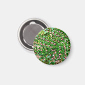 Plavialis Magneet (Voorkant / Achterkant)