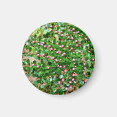 Plavialis Magneet (Voorkant)