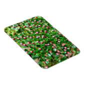 Plavialis Magneet (Rechterzijde)