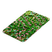 Plavialis Magneet (Linkerzijde)