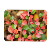 Plavialis Magneet (Horizontaal)