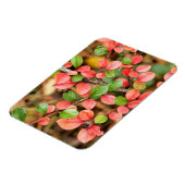 Plavialis Magneet (Linkerzijde)