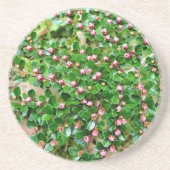 Plavialis Zandsteen Onderzetter (Voorkant)