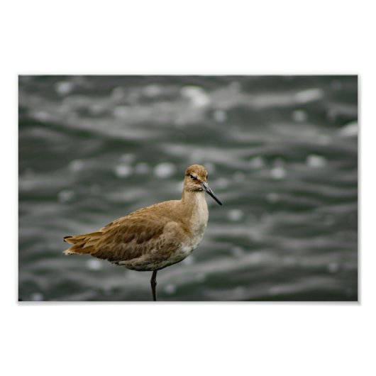 Play Del Rey Foto Afdruk (Voorkant)