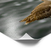 Play Del Rey Foto Afdruk (Hoek)