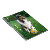 Play met mij. Voetballiefhebber. Notitieboek (Rechterzijde)