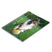 Play met mij. Voetballiefhebber. Notitieboek (Linkerzijde)