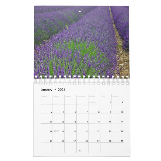 Play of colours lavender kalender (Jan 2026)