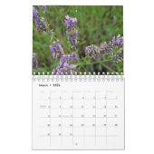 Play of colours lavender kalender (Mar 2026)