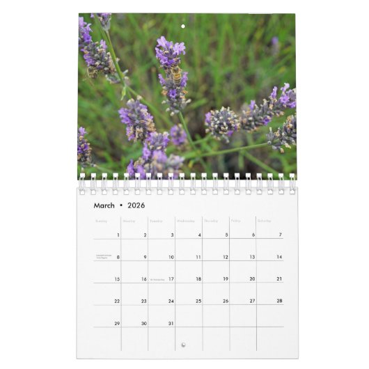 Play of colours lavender kalender (Mar 2026)