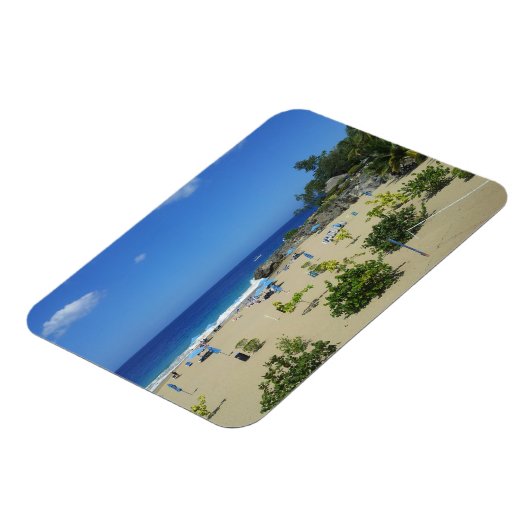 PLAYA ALCIA BEACH SOSUA DOMINICAANSE REPUBLIEK SUR MAGNEET (Linkerzijde)