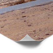 Playa de Sotavento en Fuerteventura Poster (Hoek)