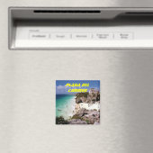 Playa Del Carmen magneet (Insitu (Vaatwasser))