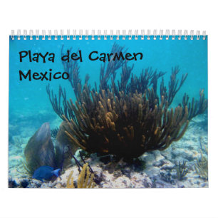 Playa del Carmen, Mexico Kalender