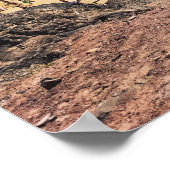 Playa del Papagayo, zuidkust van Lanzarote Poster (Hoek)