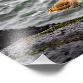 Playa Del Rey Foto Afdruk (Hoek)