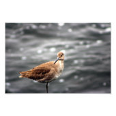 Playa Del Rey Foto Afdruk (Voorkant)