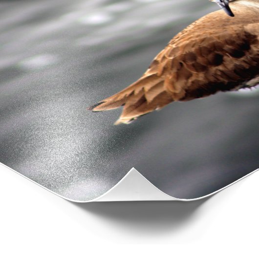 Playa Del Rey Foto Afdruk (Hoek)