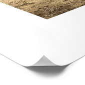 Playa del Rey Lagoon, 1904 - Uitzicht Zuid-Zuid Poster (Hoek)