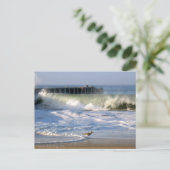 Playa del Rey Surf Birds - Mike Izzo Briefkaart (Staand voorkant)