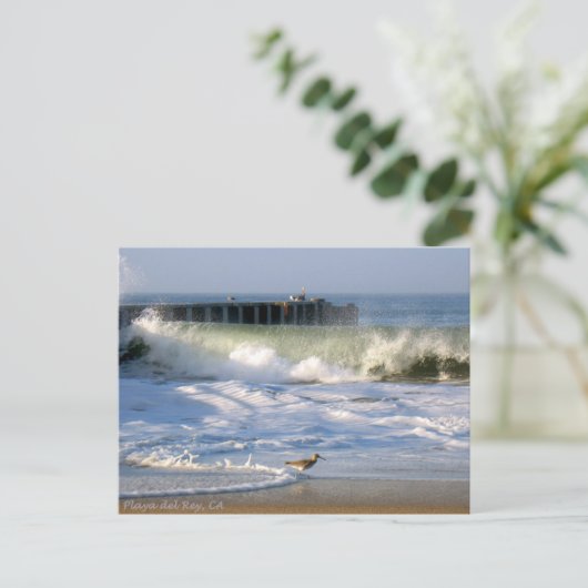 Playa del Rey Surf Birds - Mike Izzo Briefkaart (Staand voorkant)