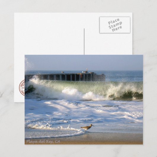 Playa del Rey Surf Birds - Mike Izzo Briefkaart (Voorkant / Achterkant)