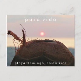 Playa Flamingo Sunset Coconut Costa Rica Briefkaar Briefkaart