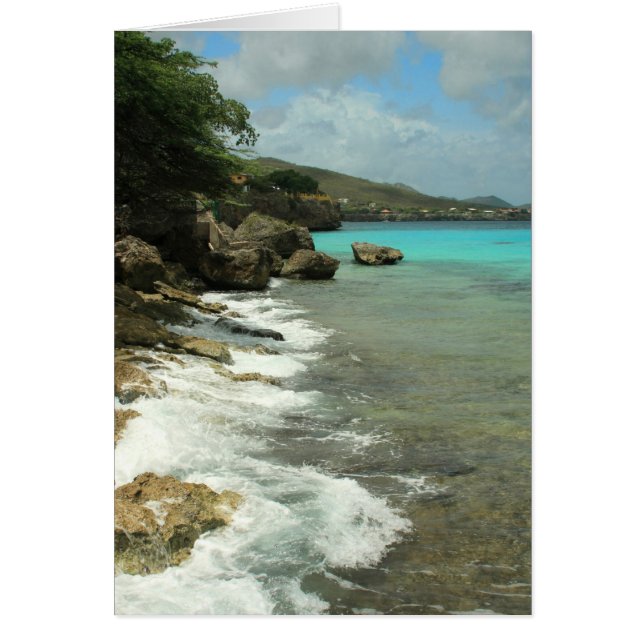 Playa Forti (Voorkant)