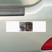 PlayDave Bumpersticker (Op auto)