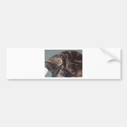 PlayDave Bumpersticker (Voorkant)