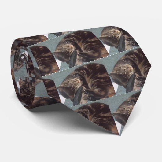 PlayDave Stropdas (Opgerold)