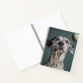 Playful Dalmatian with Ball Notebook Notitieboek (Binnen)