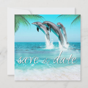 PLAYFUL DOLPHINS TROPICAL OCEAN Save the Date