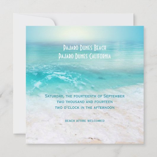 PLAYFUL DOLPHINS TROPICAL OCEAN Weddenschap Kaart (Achterkant)