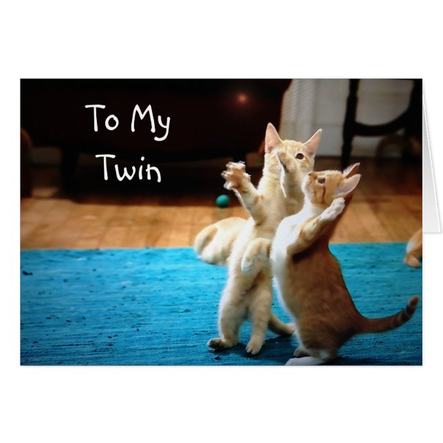 PLAYFUL KITTENS *HAPPY BIRTHDAY" (Voorkant Horizontaal)