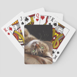 Playful Kitty Card Deck Pokerkaarten