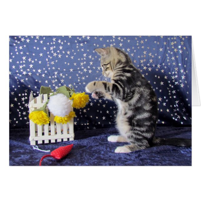 Playful Little Girl - Lilo (Voorkant Horizontaal)