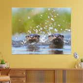Playful Otters Popping Up Water Splash Canvas Afdruk (Insitu (Woonkamer))