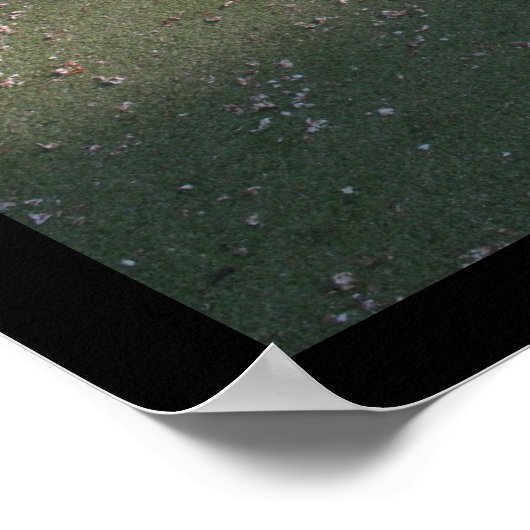 Playground for Children 30 Ladybug rocking Poster (Hoek)