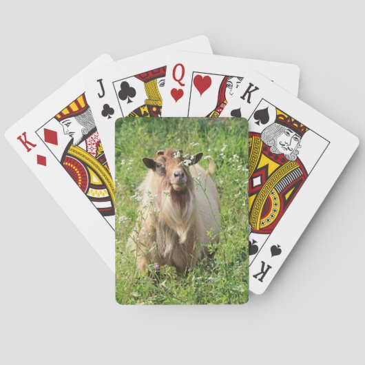 Playing Cards   "Goat Themed" Pokerkaarten (Achterkant)
