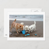 Playtime on the beach briefkaart (Voorkant / Achterkant)