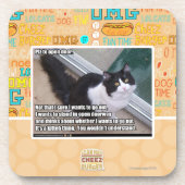 Plaz voor open deur drankjes onderzetter (Voorkant)